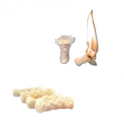 Pierre à Feu Trousse Allume-feu SOL Fire Lite Starting Kit -MARCHER Soldes Boutique kit allume feu sol fire lite 4